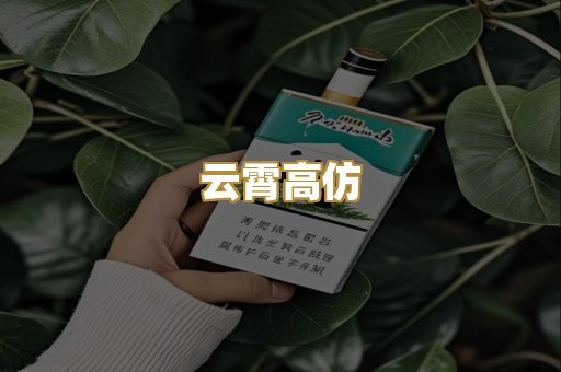 云霄高仿